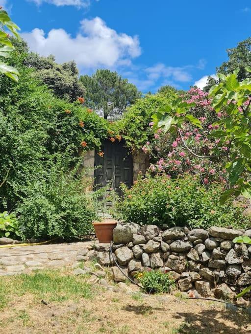 Casa Rural En Candeleda Con Piscina Y Un Maravilloso Jardin المظهر الخارجي الصورة