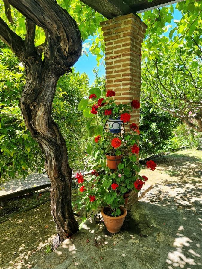 Casa Rural En Candeleda Con Piscina Y Un Maravilloso Jardin المظهر الخارجي الصورة