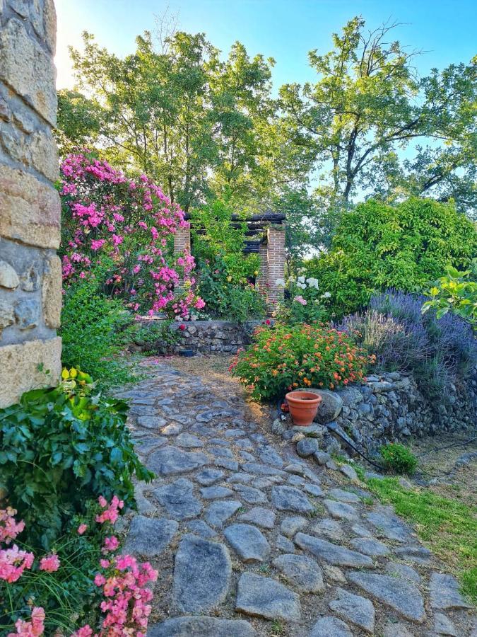Casa Rural En Candeleda Con Piscina Y Un Maravilloso Jardin المظهر الخارجي الصورة