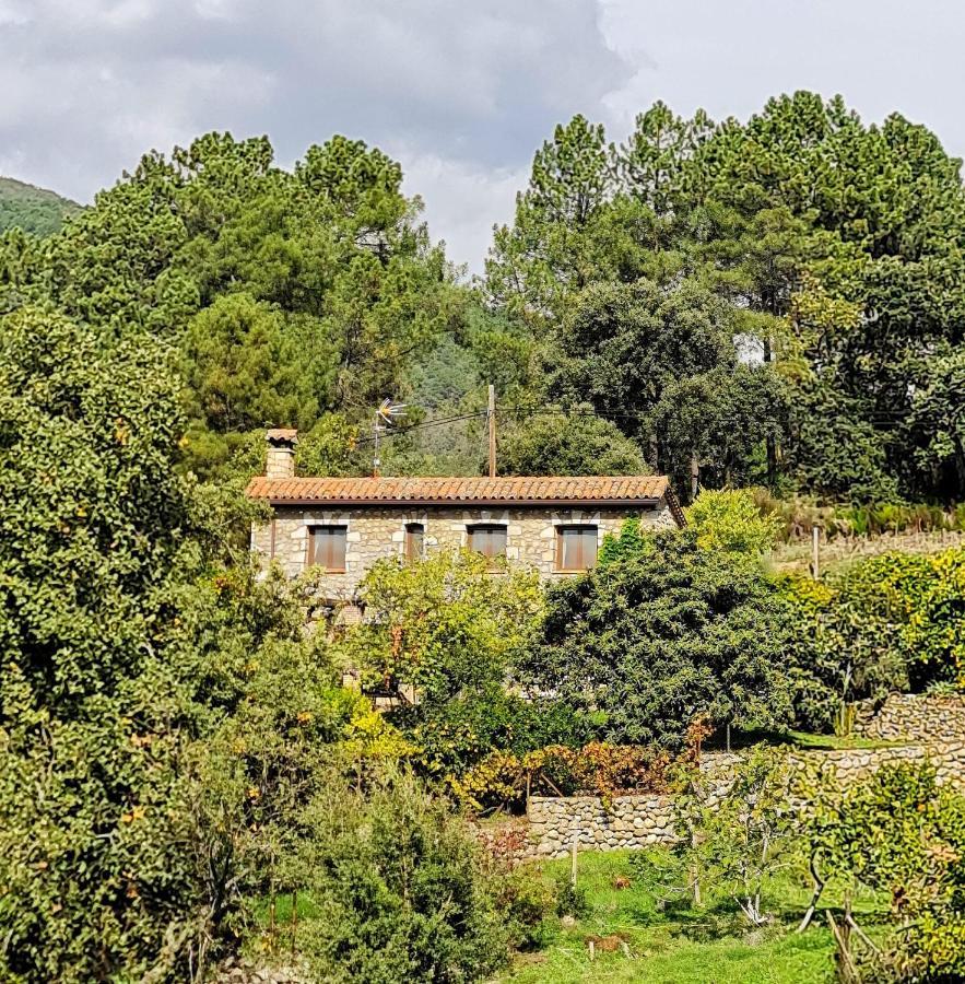 Casa Rural En Candeleda Con Piscina Y Un Maravilloso Jardin المظهر الخارجي الصورة