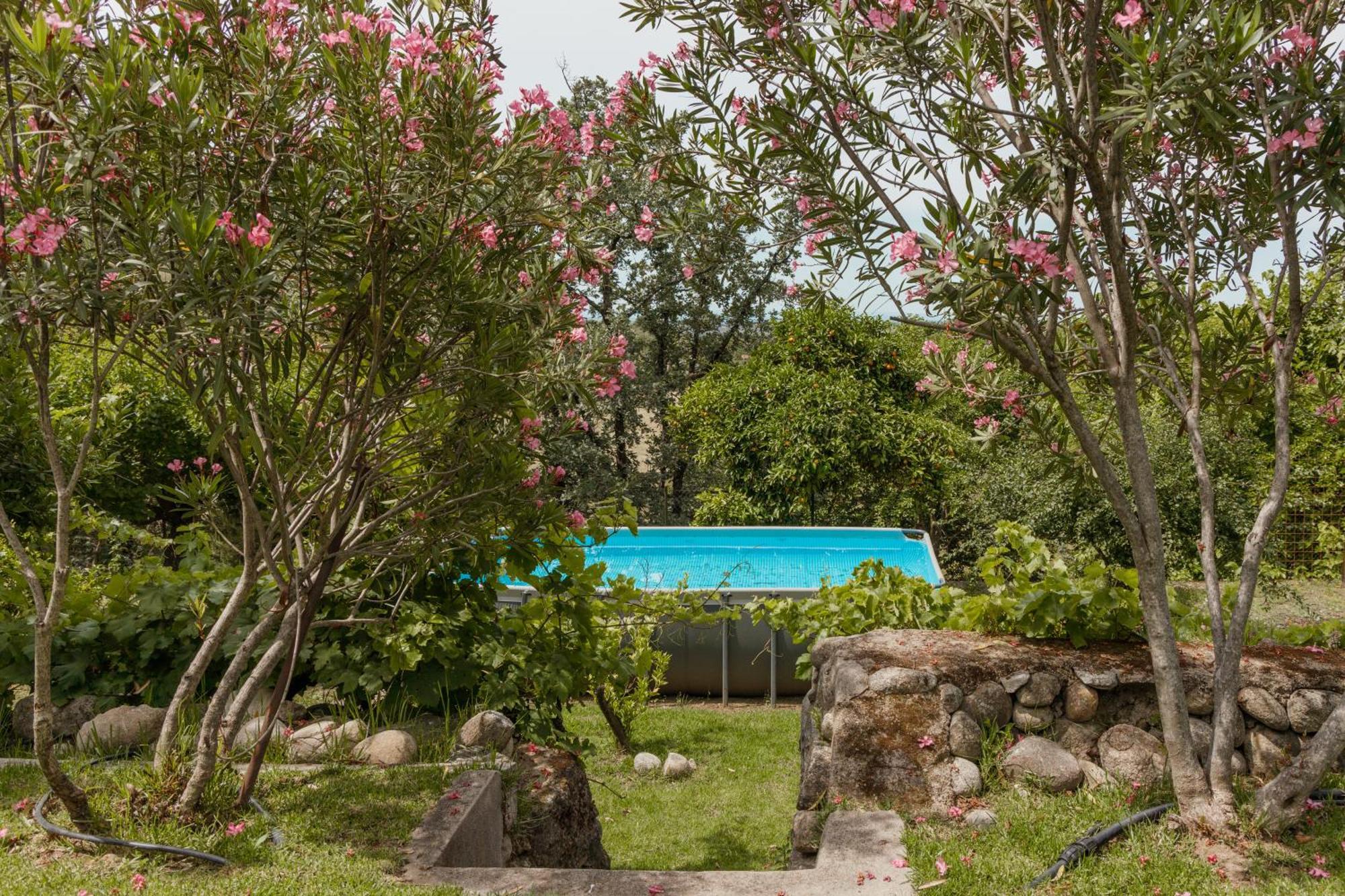 Casa Rural En Candeleda Con Piscina Y Un Maravilloso Jardin المظهر الخارجي الصورة