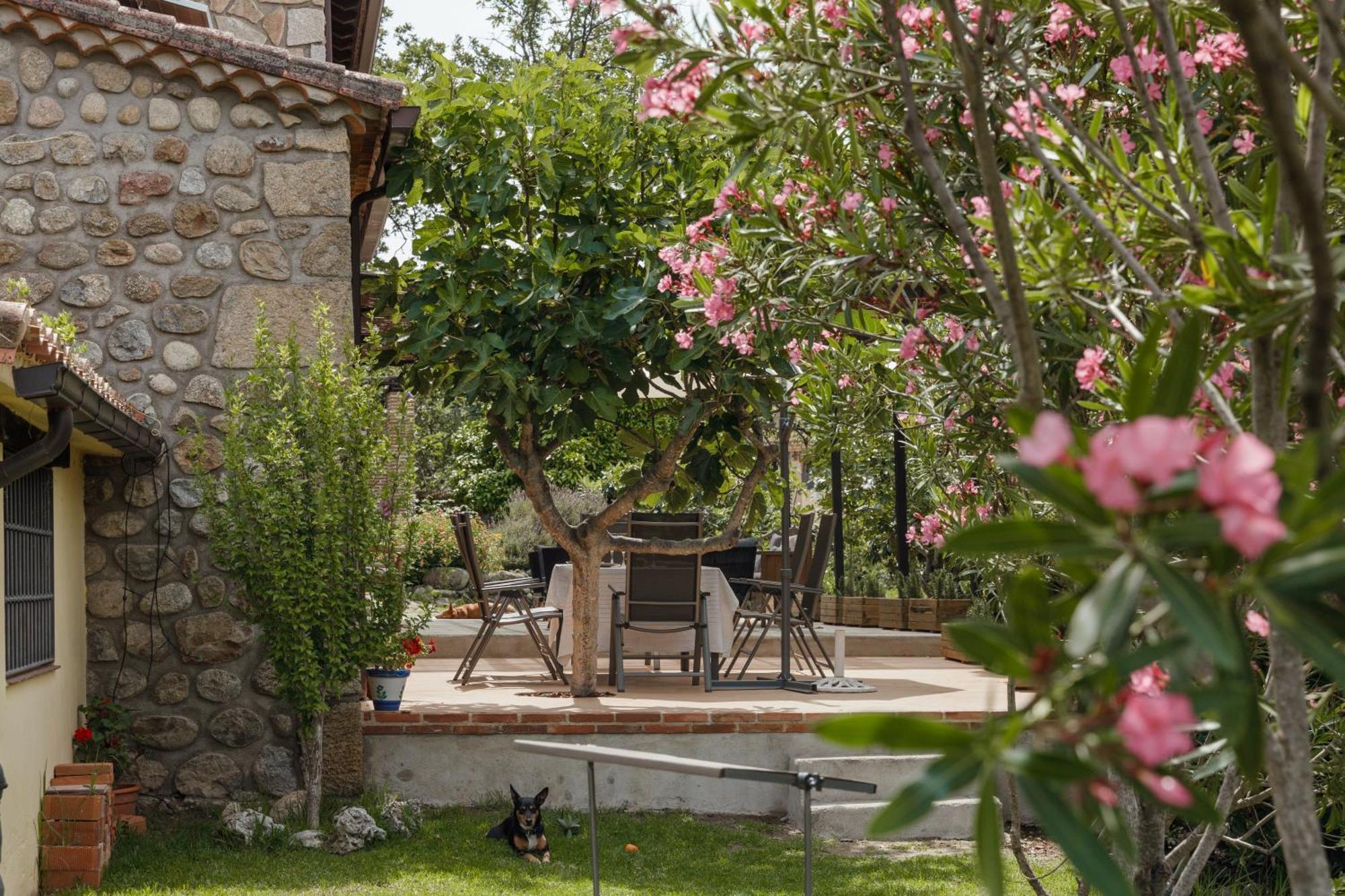 Casa Rural En Candeleda Con Piscina Y Un Maravilloso Jardin المظهر الخارجي الصورة